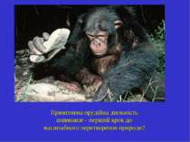 Примітивна орудійна діяльність шимпанзе - перший крок до масштабного перетвор...