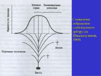 Схематичне зображення стабілізуючого добору (за Шмальгаузеном, 1969)