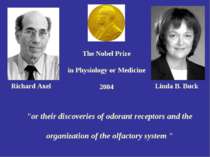 The Nobel Prize in Physiology or Medicine 2004 "or their discoveries of odora...