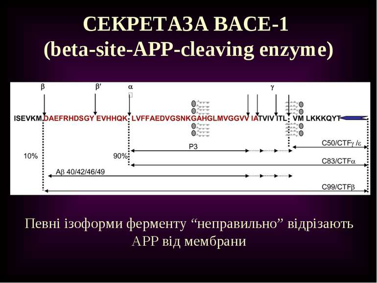 СЕКРЕТАЗА BACE-1 (beta-site-APP-cleaving enzyme) Певні ізоформи ферменту “неп...