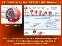 ЕТІОЛОГІЯ ТА ПАТОГЕНЕЗ НIV-ІНФЕКЦІЇ HTLV-IV (HIV) HTLV-IV зв`язується також з...
