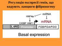 Регуляція експресії генів, що кодують ланцюги фібриногену