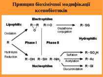 Принцип біохімічної модифікації ксенобіотиків