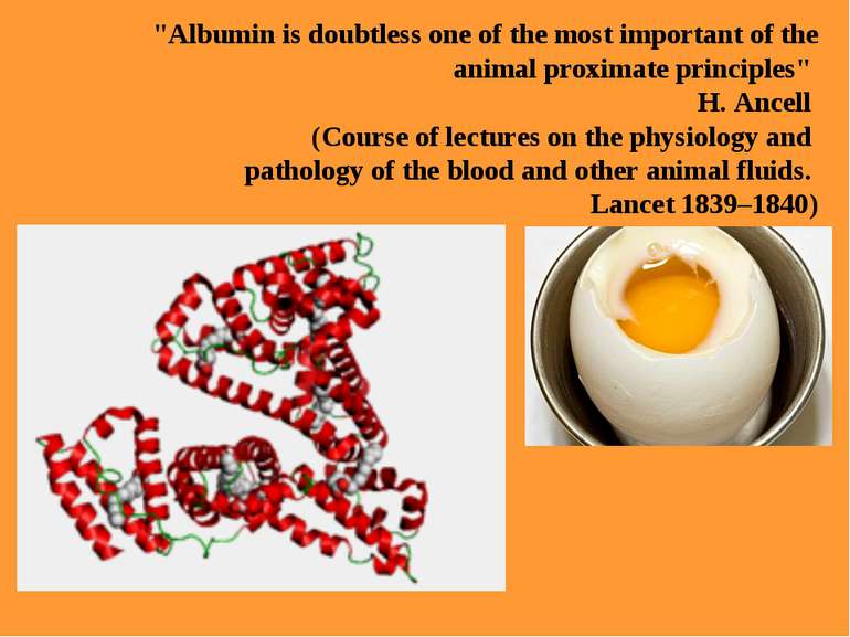"Albumin is doubtless one of the most important of the animal proximate princ...