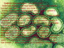 Сифіліс (бактеріальне) - має різні стадії:  - Зазвичай виникає у вигляді один...