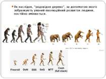Як наслідок, “родовідне дерево”, за допомогою якого зображують уявний еволюці...