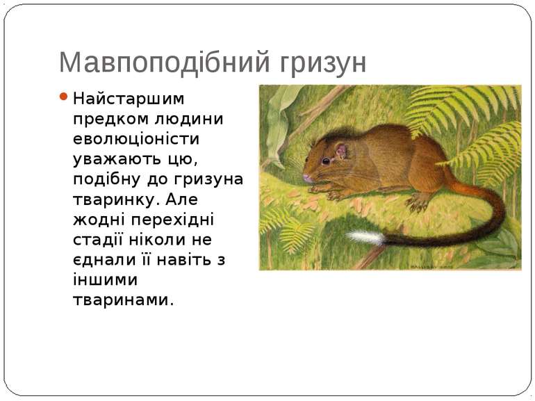 Мавпоподібний гризун Найстаршим предком людини еволюціоністи уважають цю, под...