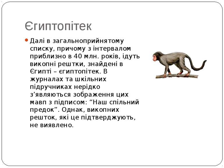 Єгиптопітек Далі в загальноприйнятому списку, причому з інтервалом приблизно ...