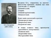 Богданов Е.А., спираючись на анатомо-фізіологічні принципи, виділив такі типи...