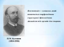 П.М. Кулєшов (1854-1936) Конституція — комплекс, який визначається морфологіч...