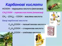 Карбонові кислоти HCOOH – мурашина кислота (метанова) CH3COOH – оцтова кислот...