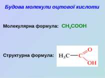 Будова молекули оцтової кислоти Молекулярна формула: CH3COOH Структурна формула: