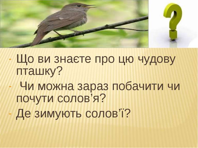 Що ви знаєте про цю чудову пташку? Чи можна зараз побачити чи почути солов’я?...