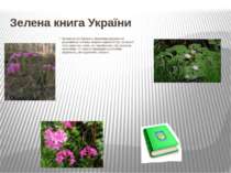 Зелена книга України Зелена книга України є офіційним державним документом, в...