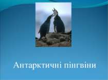 Антарктичні пінгвіни