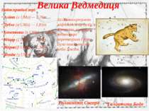 Велика Ведмедиця Найяскравіші зорі: Аліот (ε UMa) — 1,76m Дубхе (α UMa) — 1,8...