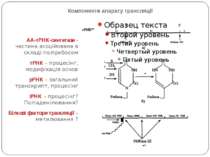 Компоненти апарату трансляції АА-тРНК-синтетази - частина асоційована в склад...