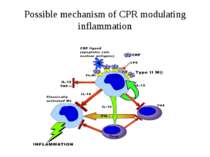 Possible mechanism of CPR modulating inflammation