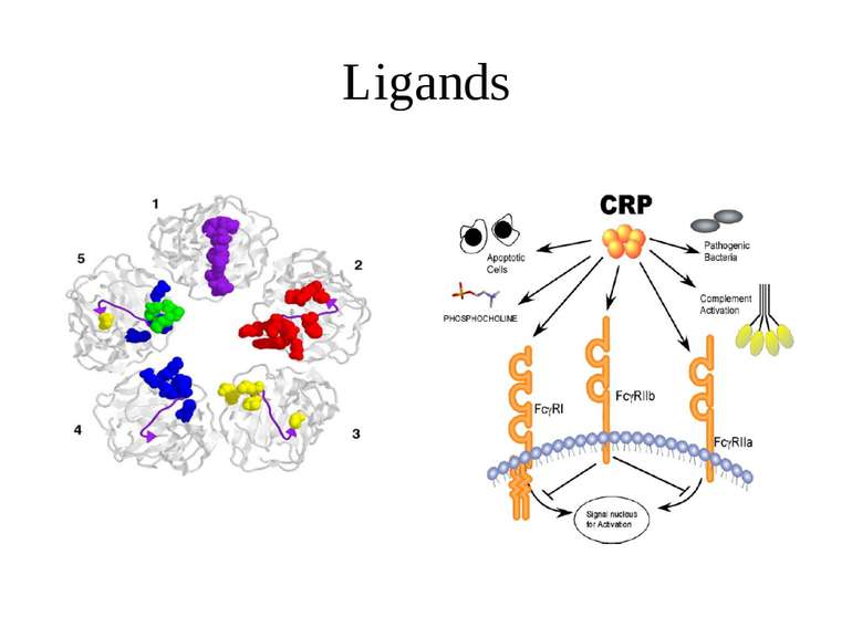 Ligands
