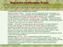 Класифікація детергентів За природою групи гідрофільної голівки: - іонні (кат...