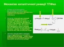 Механізм каталітичної реакції ТПФаз ТПФаза каталізує гідроліз фосфоефірного з...