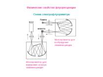 Схема спектрофлуориметра Физические свойства флуоресценции