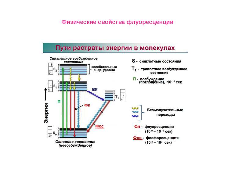 Физические свойства флуоресценции