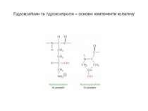 Гідроксилізин та гідроксипролін – основні компоненти колагену
