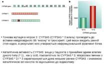 Точкова мутація в інтроні 3 CYP3A5 (CYP3A5 * 3 алель) призводить до вставки н...