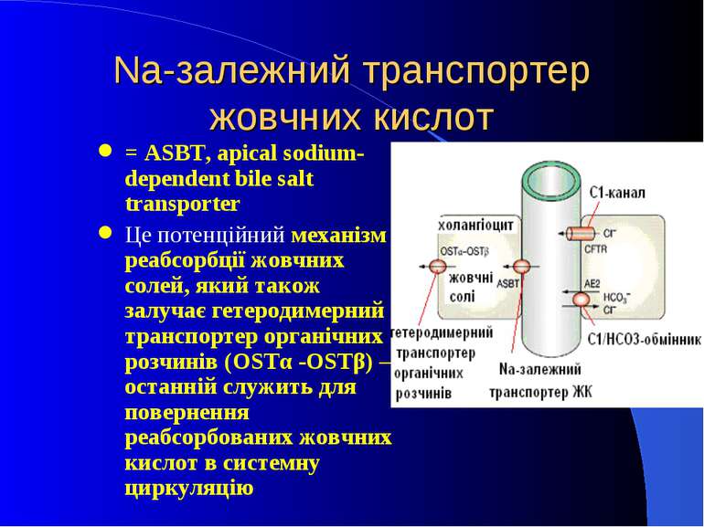 Na-залежний транспортер жовчних кислот = ASBT, apical sodium-dependent bile s...
