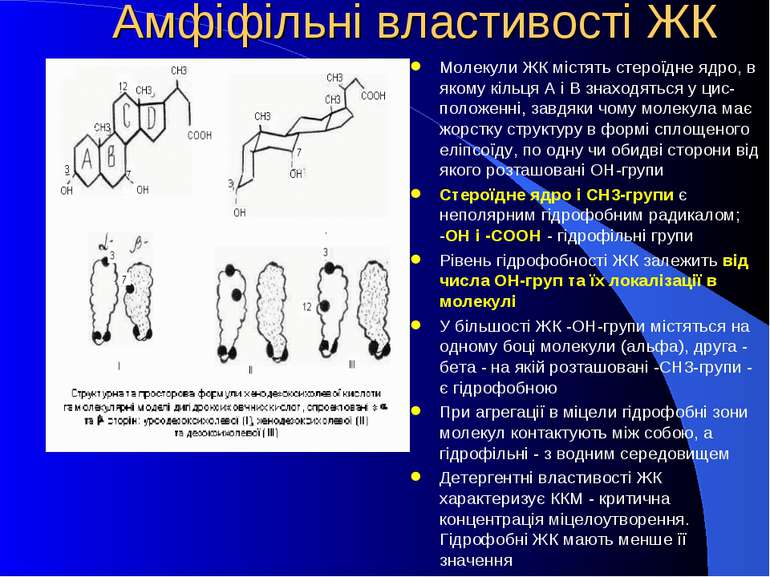 Амфіфільні властивості ЖК Молекули ЖК містять стероїдне ядро, в якому кільця ...