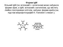 Форми IgM Вільний IgM (не зв'язаний з антигеном) може набувати форми зірки, а...