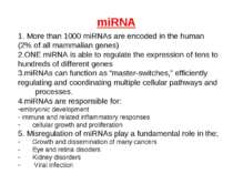 miRNA 1. More than 1000 miRNAs are encoded in the human (2% of all mammalian ...