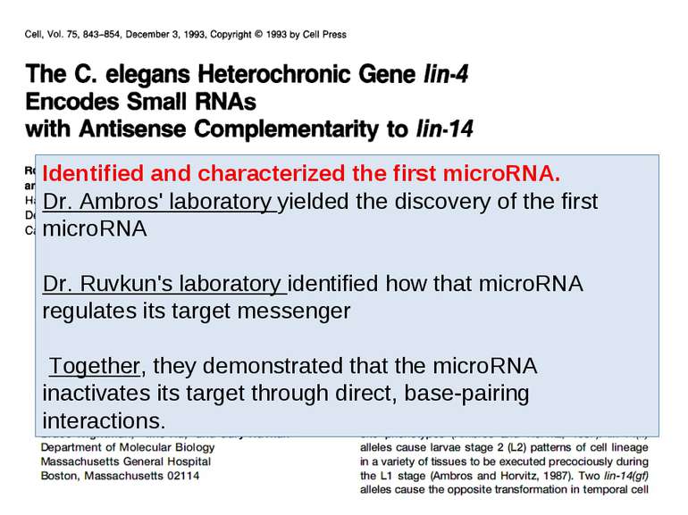 Identified and characterized the first microRNA. Dr. Ambros' laboratory yield...