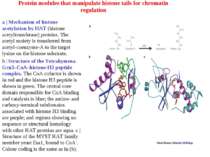 Protein modules that manipulate histone tails for chromatin regulation a | Me...
