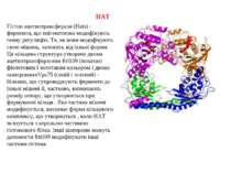 HAT Гістон ацетилтрансферази (Hats) - ферменти, що епігенетично модифікують г...