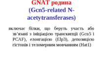 GNAT родина (Gcn5-related N-acetytransferases) включає білки, що беруть участ...