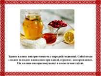 Здавна калину використовують у народній медицині. Свіжі ягоди з медом та водо...
