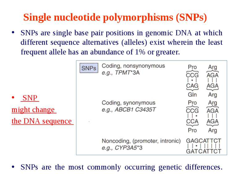 Single nucleotide polymorphisms (SNPs) SNPs are single base pair positions in...