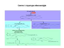 Синтез і структура ейкозаноїдів