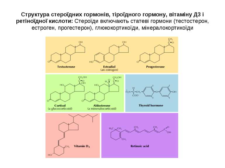Структура стероїдних гормонів, тіроїдного гормону, вітаміну Д3 і ретіноїдної ...