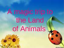 Travelling to the Magic Land of Animals