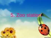 5. Zoo station
