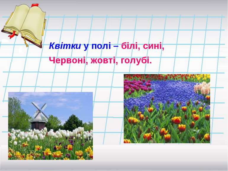 Квітки у полі – білі, сині, Червоні, жовті, голубі.