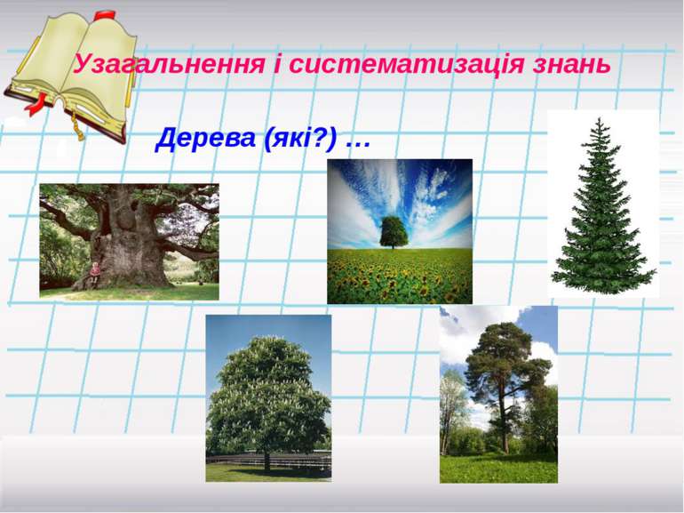 Дерева (які?) … Узагальнення і систематизація знань