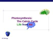 Photosynthesis: The Calvin Cycle Life from Air AP Biology