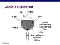 Calvin’s experiment Air Light Light Valve Algae Algae suspension Transparent ...
