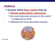 Rubisco Enzyme which fixes carbon from air ribulose bisphosphate carboxylase ...