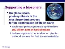Supporting a biosphere On global scale, photosynthesis is the most important ...