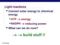Light reactions Convert solar energy to chemical energy ATP NADPH What can we...